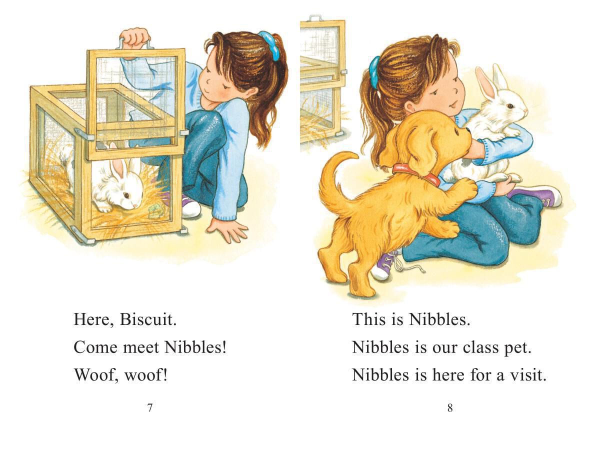 Thumbnail 5 Biscuit Reader Pack 