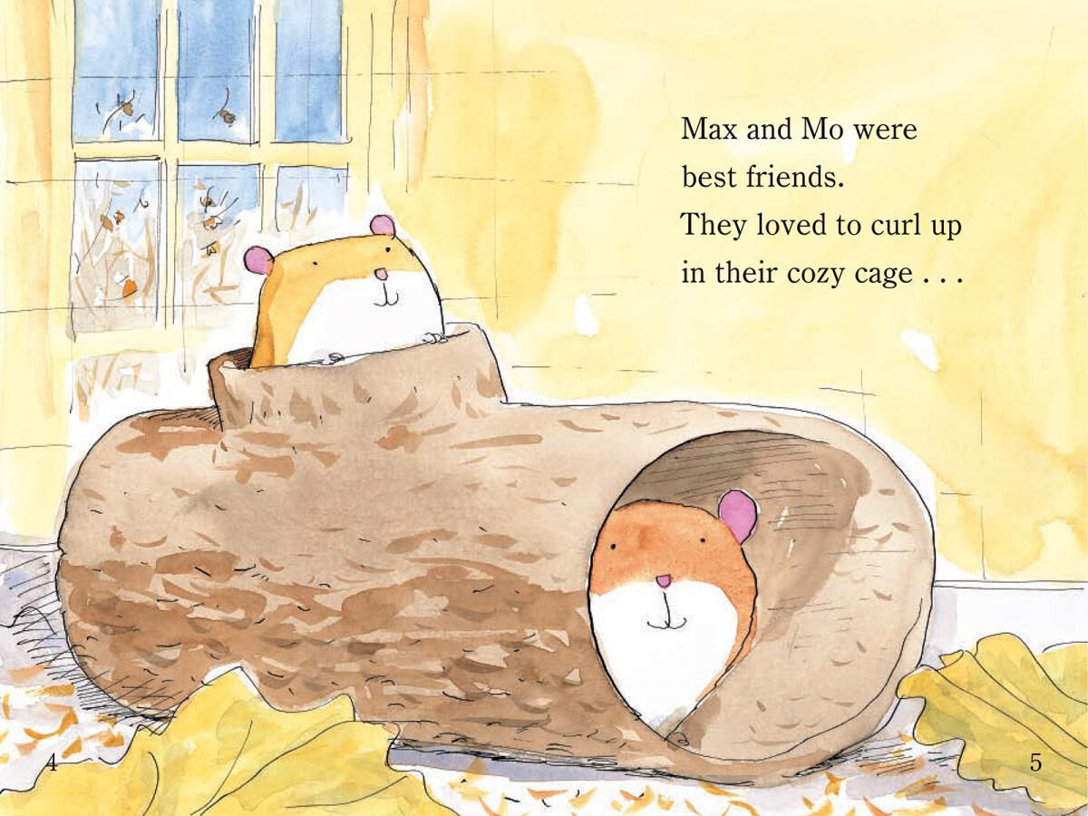 Thumbnail 5Snow Fun Reader 5-Pack