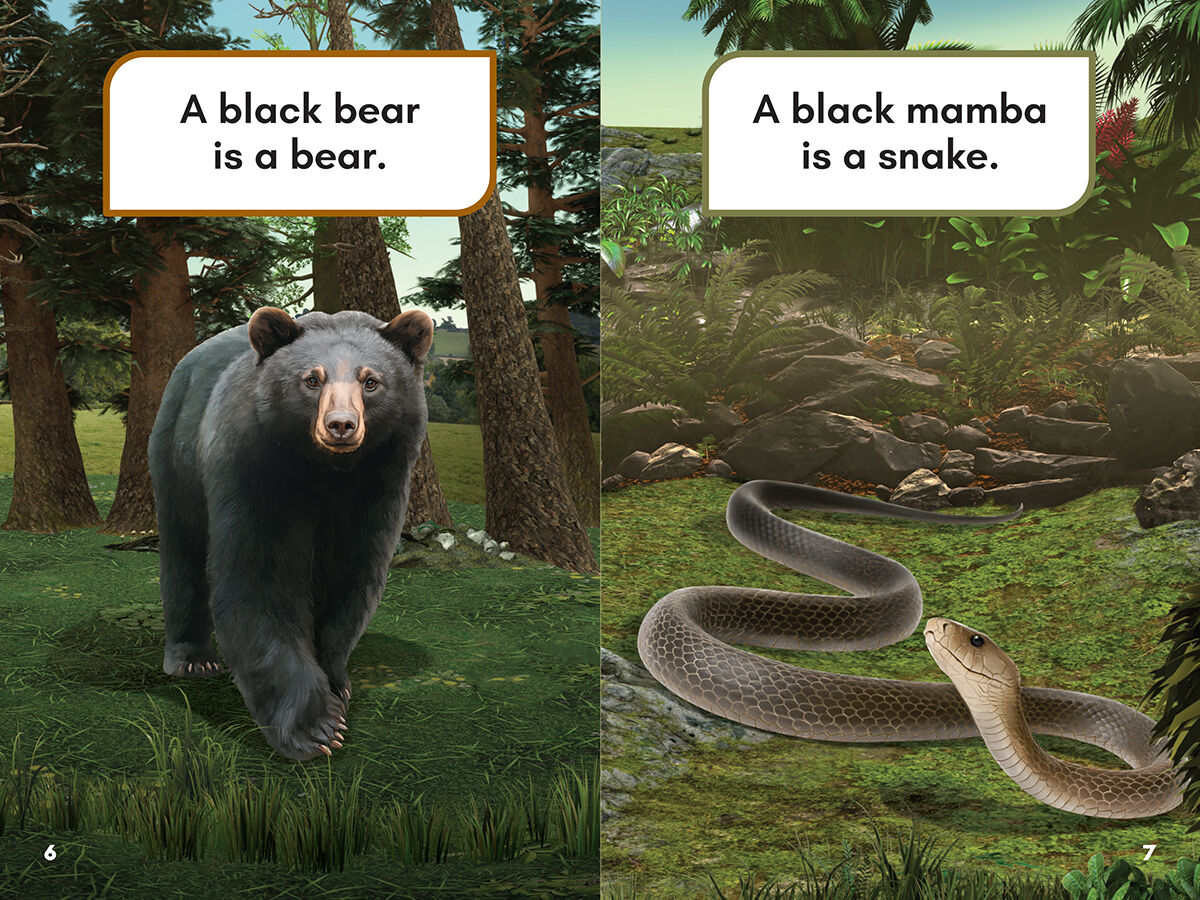 Thumbnail 3 Would You Rather Be?: A Black Bear or a Black Mamba 
