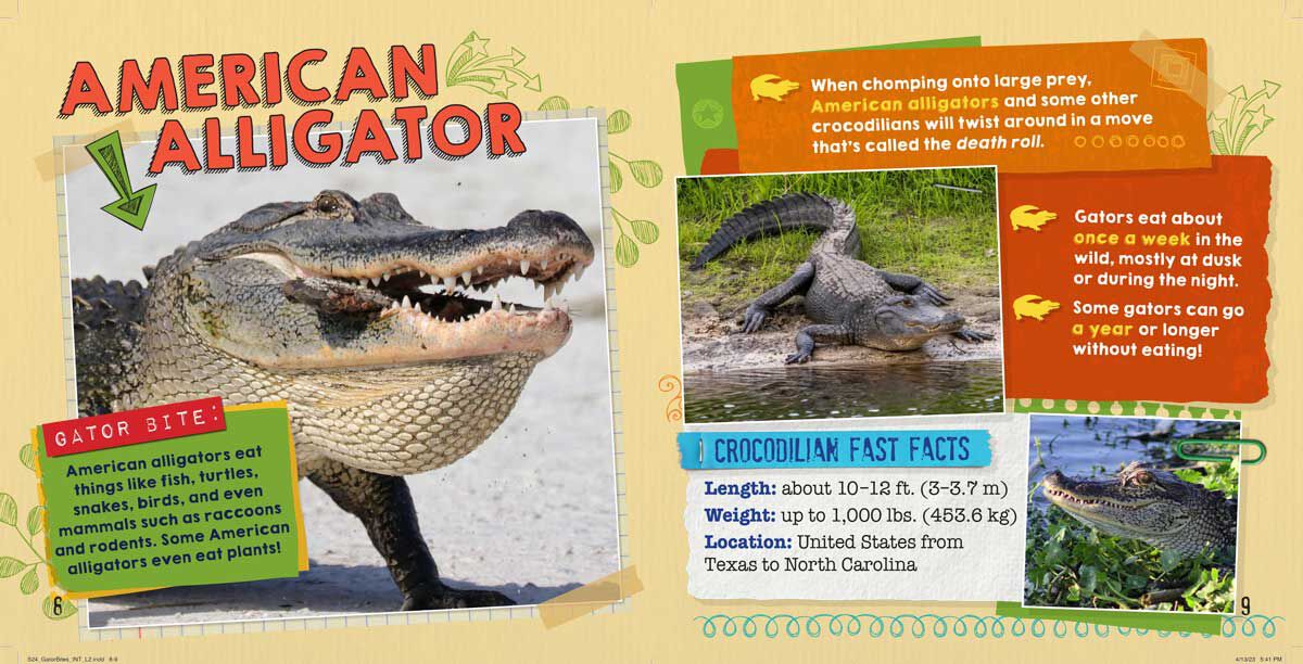 Thumbnail 5 Gator Bites 