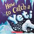 Thumbnail 1 How to Catch a Yeti