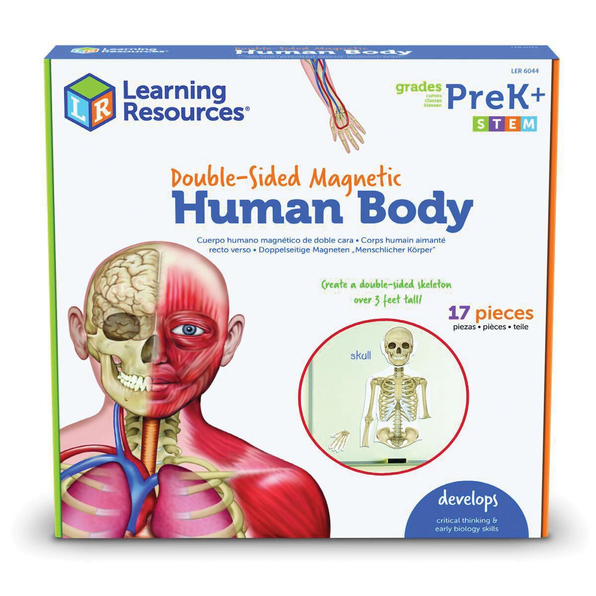 Double-Sided Magnetic Human Body