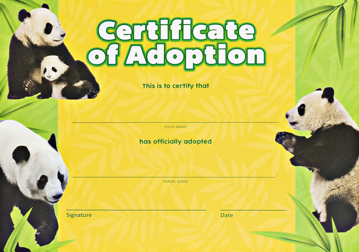 Thumbnail 4 Adopt a Panda Kit 