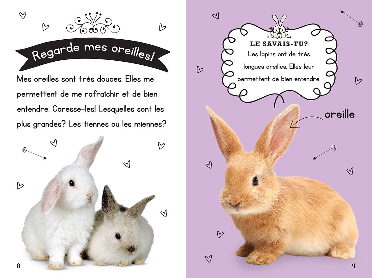 Thumbnail 2Ma collection d'animaux : Jolis lapins