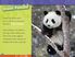 Thumbnail 5 National Geographic Kids: Cutest Creatures 6-Pack 
