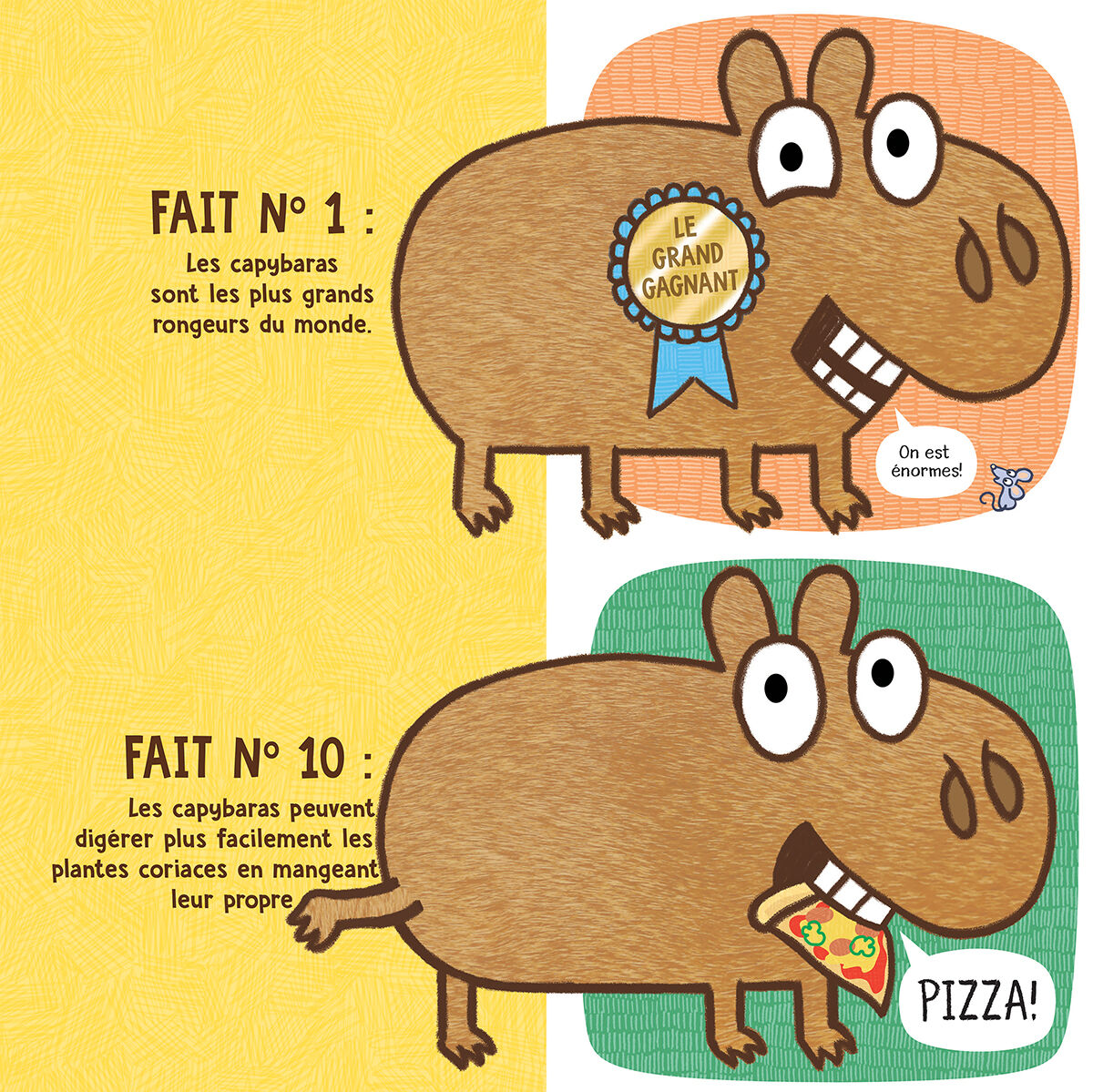 Thumbnail 210 faits &eacute;tonnants sur les capybaras
