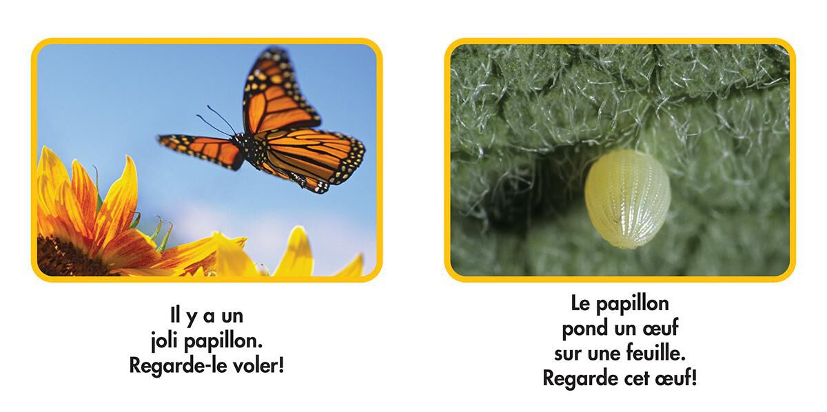 Thumbnail 12 National Geographic Kids : Ensemble de Lecture 2 