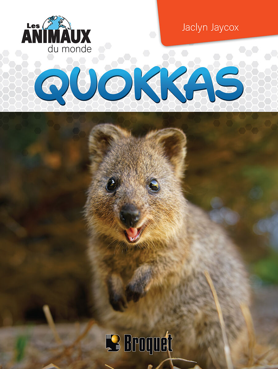 Animaux du monde : Quokkas