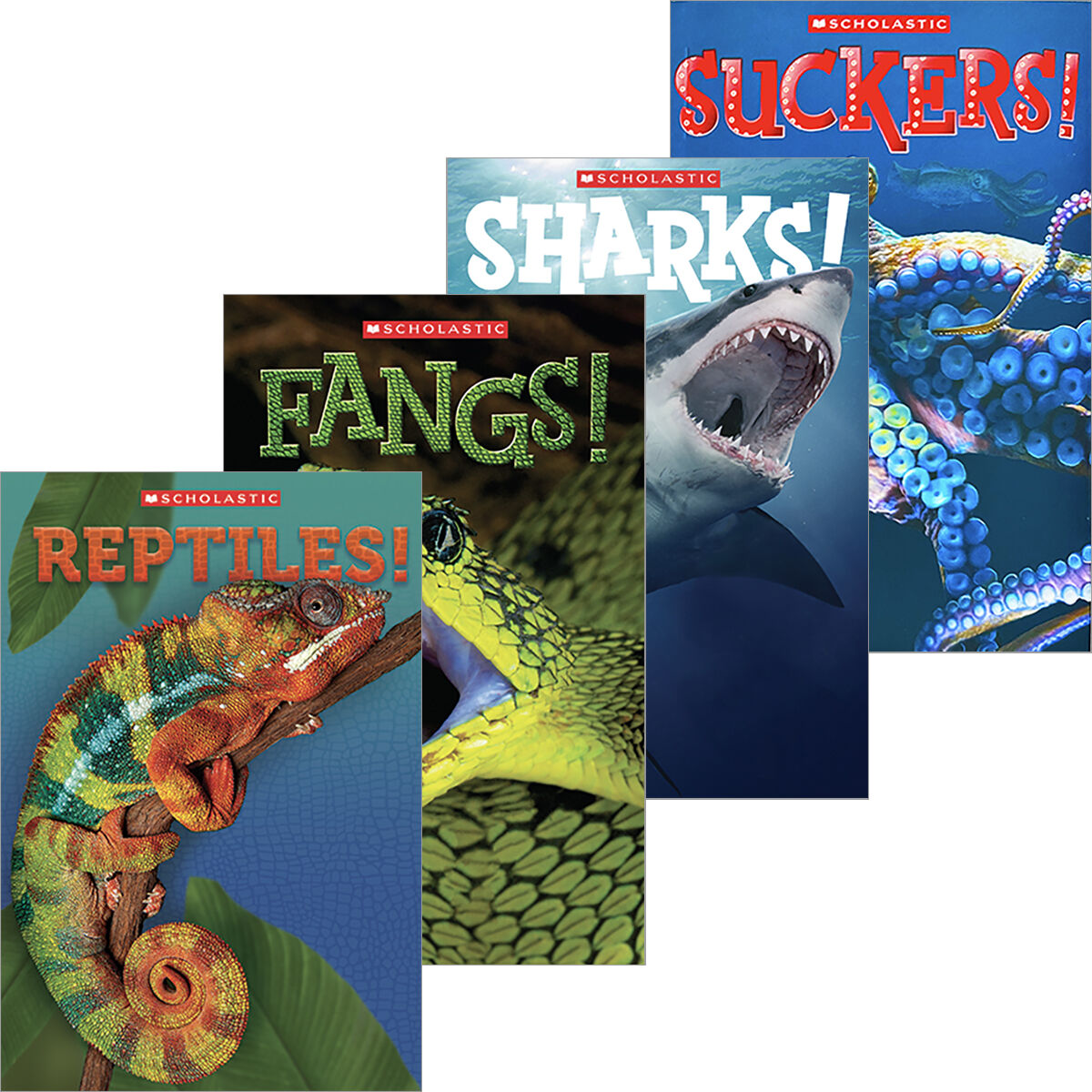 Predator Tangerine Readers 5-Pack