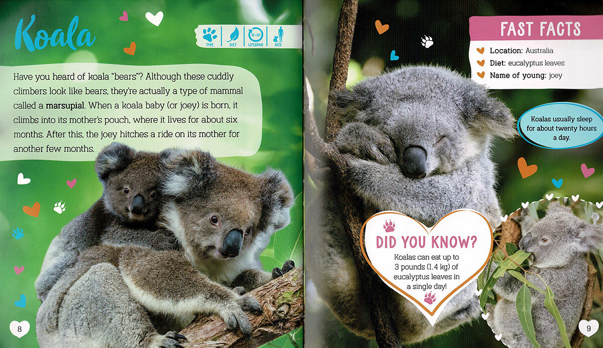 Thumbnail 3Super-Cute Animals