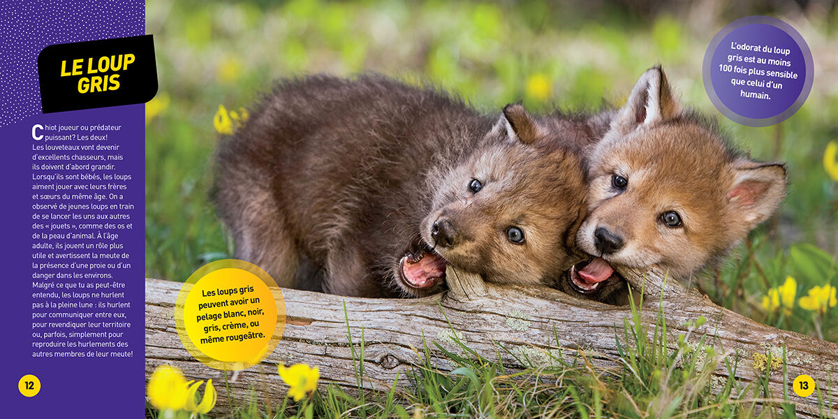 Thumbnail 2National Geographic Kids: Les animaux les plus mignons du monde