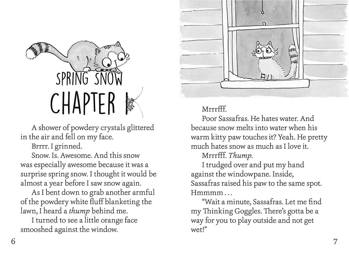 Thumbnail 3 Zoey and Sassafras: Caterflies and Ice 10-Pack 