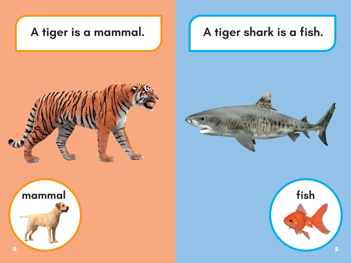 Thumbnail 2 What Would You Rather Be?: A Tiger or a Tiger Shark 