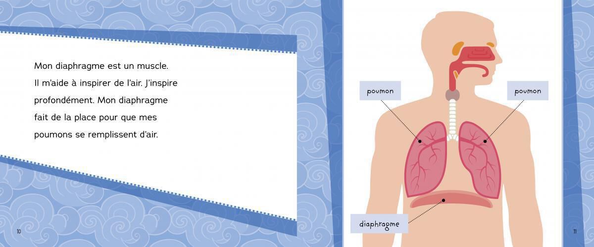 Thumbnail 5 Ensemble Le corps humain 