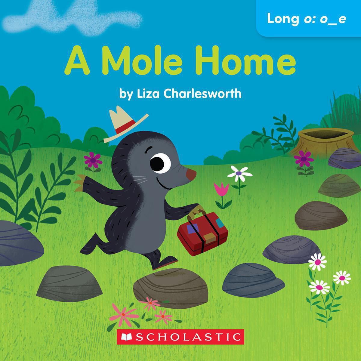 Thumbnail 9Laugh-a-Lot! Phonics!: Long Vowels Classroom Set