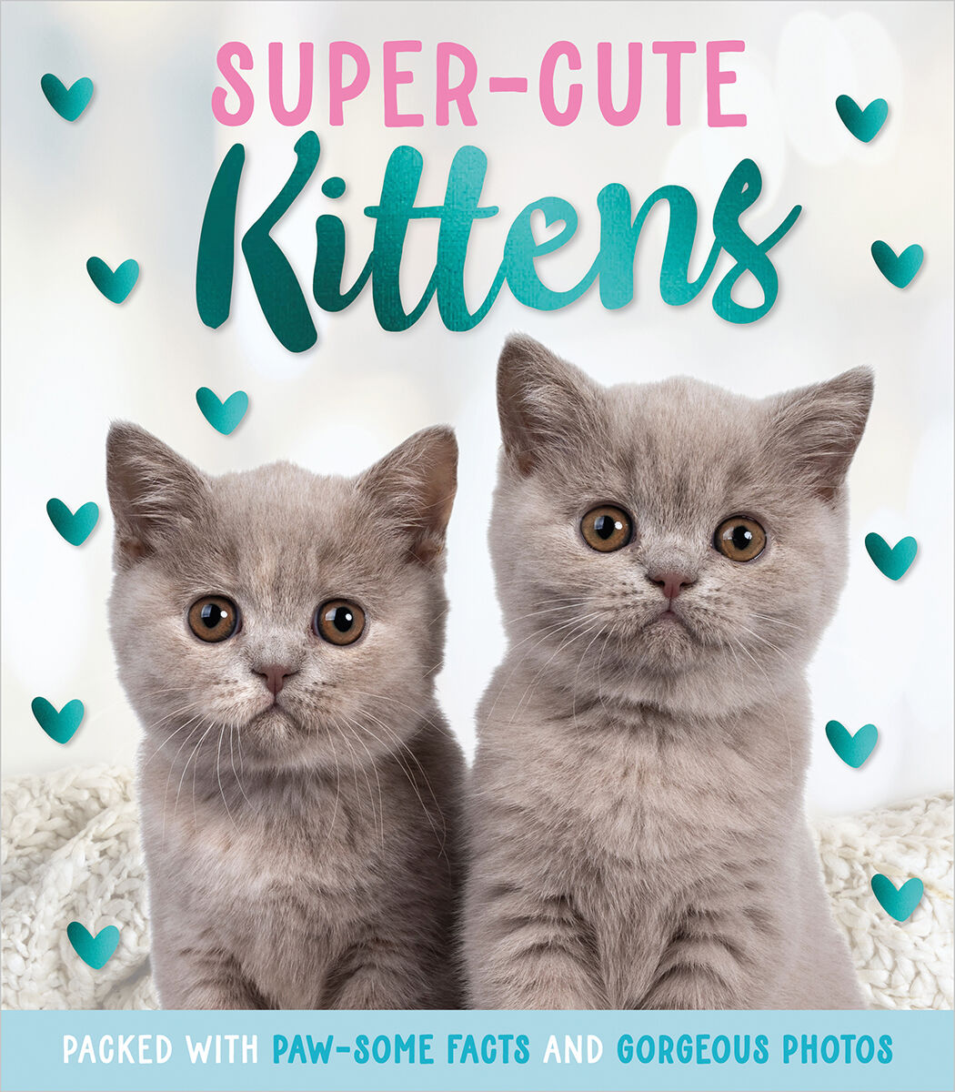  Super-Cute Kittens 