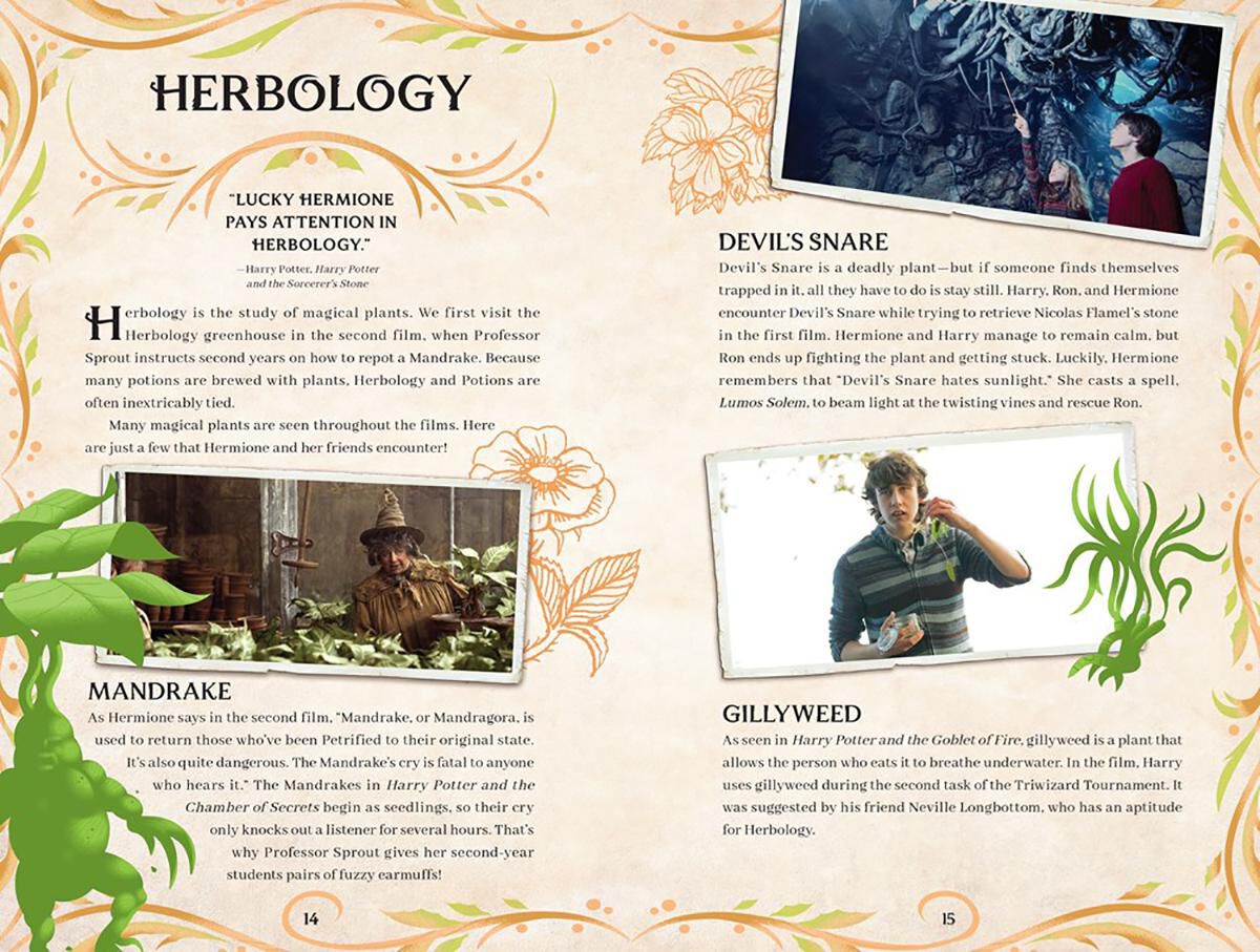 Thumbnail 3 Harry Potter: Spell and Potion Book 