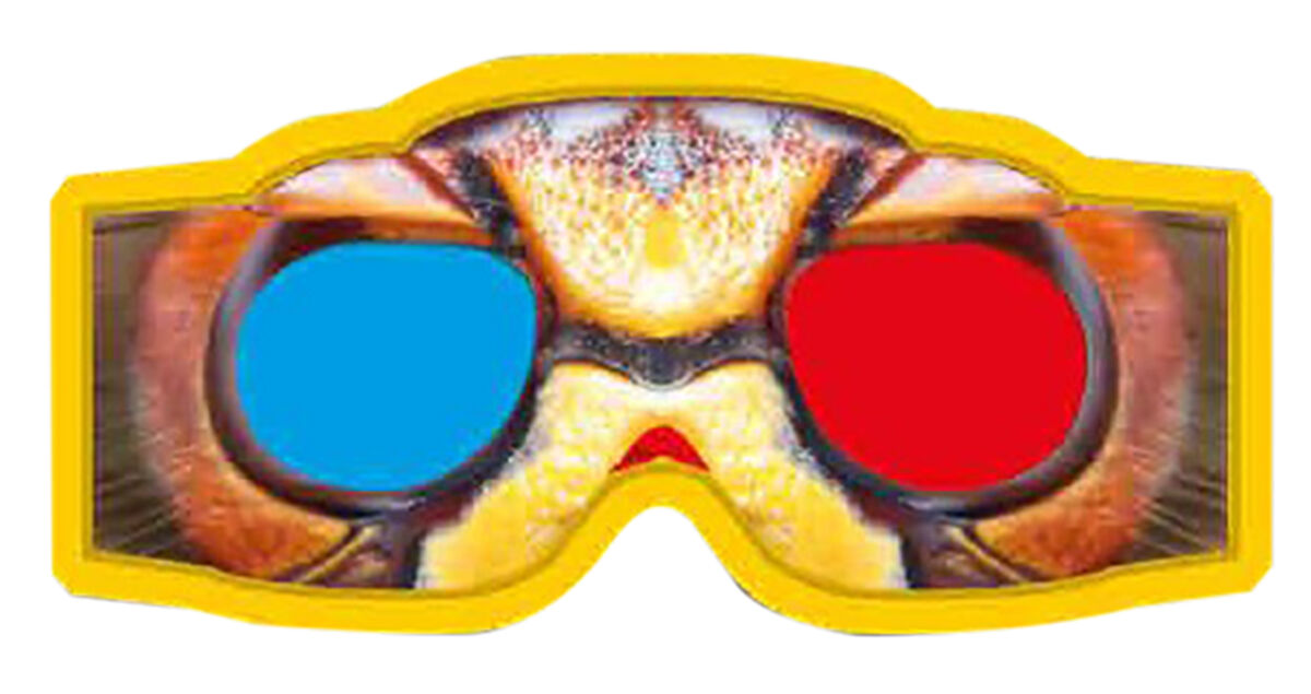 Thumbnail 2 Mini Beasts in 3D 