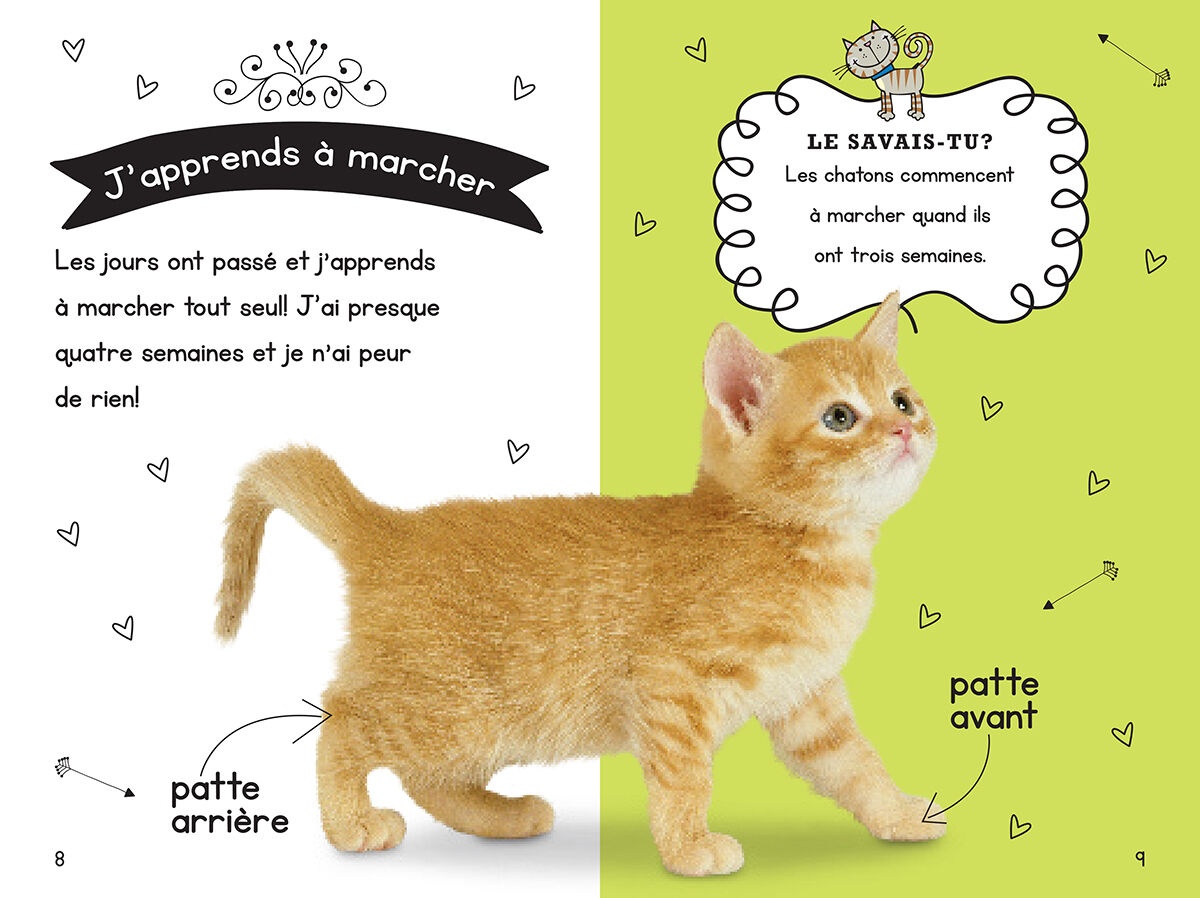 Thumbnail 4Ma collection d'animaux : Petits chatons