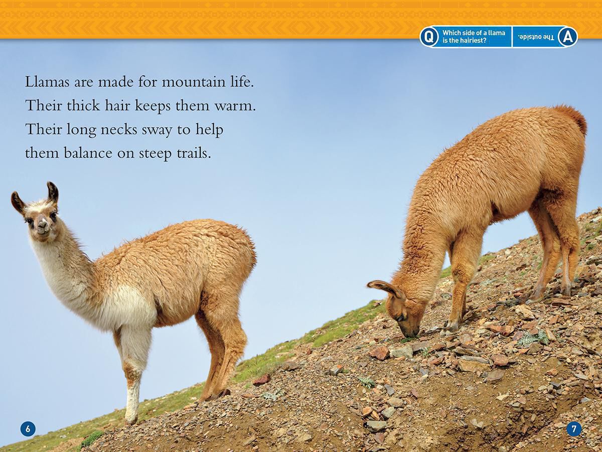 Thumbnail 2 National Geographic Kids: Llamas 