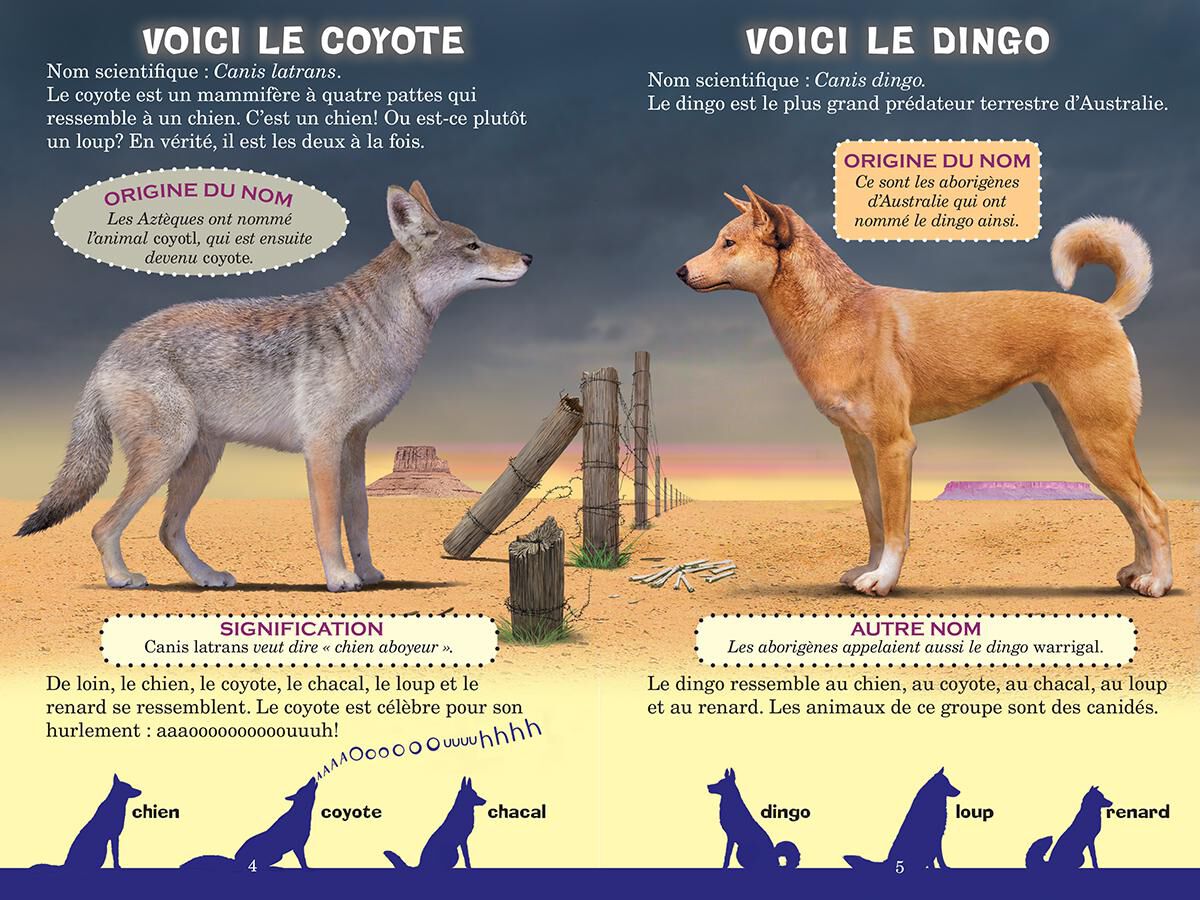 Thumbnail 3 Collection Qui va gagner? 