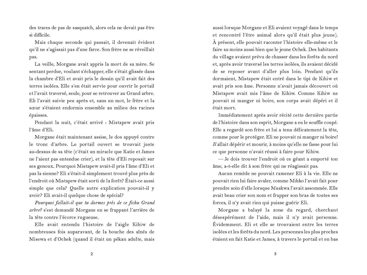 Thumbnail 3La saga Misewa : No 3 - L'enfant de pierre