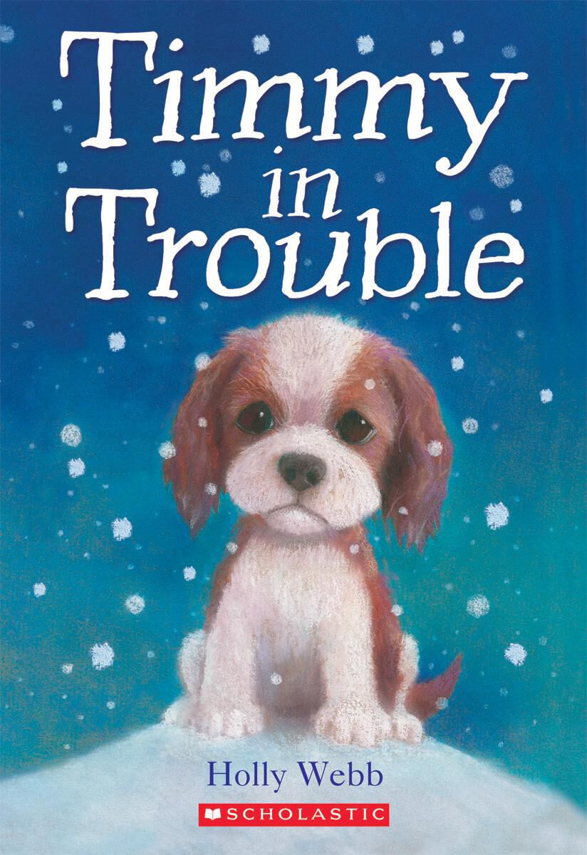 Thumbnail 6Winter Snow Chapter Book 6-Pack