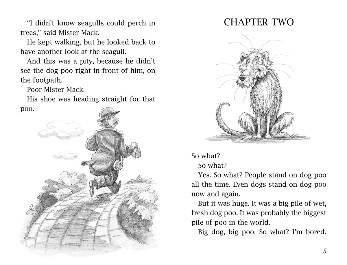 The Rover Adventures | Scholastic Canada Book Clubs