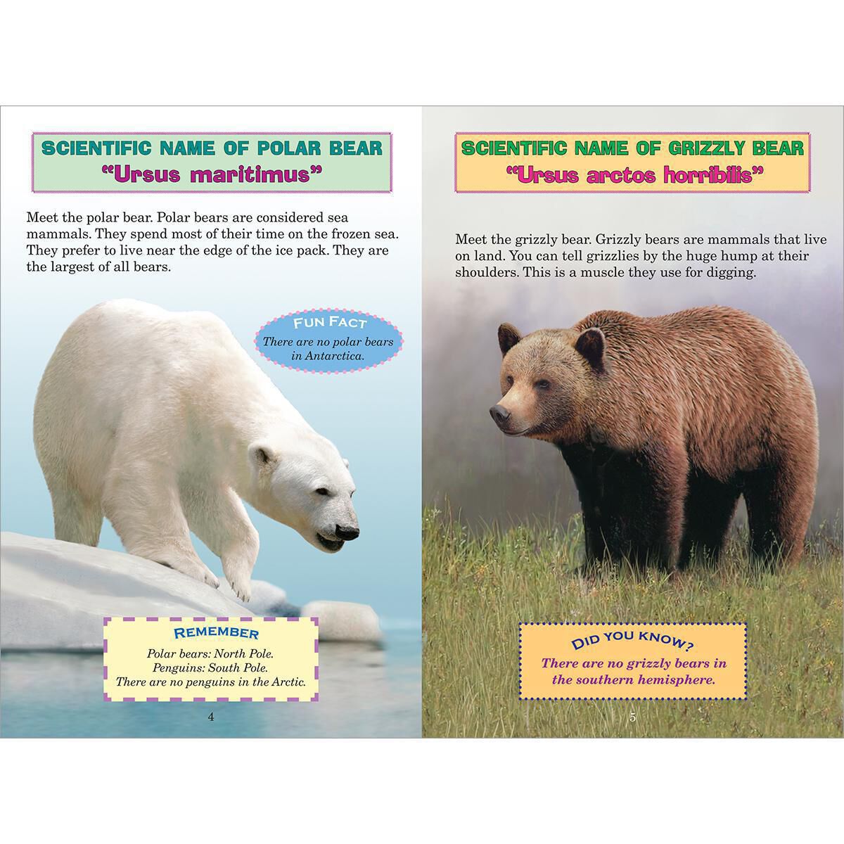 Thumbnail 4 Who Would Win? Polar Bear vs. Grizzly Bear 10-Pack 