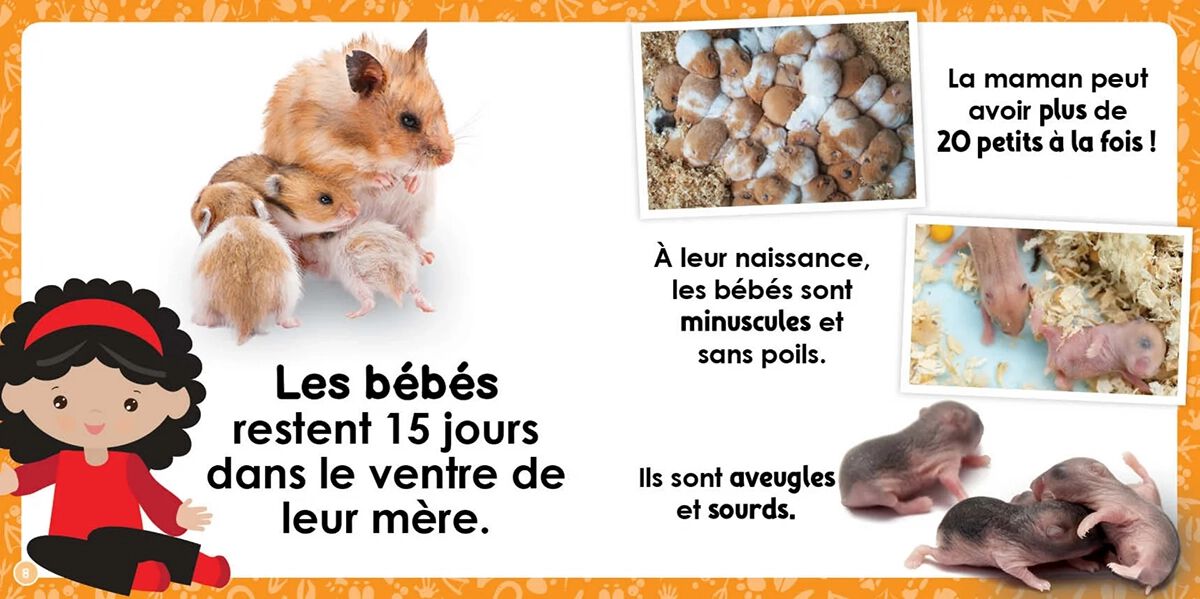Thumbnail 2 Louloudoc : Les hamsters 