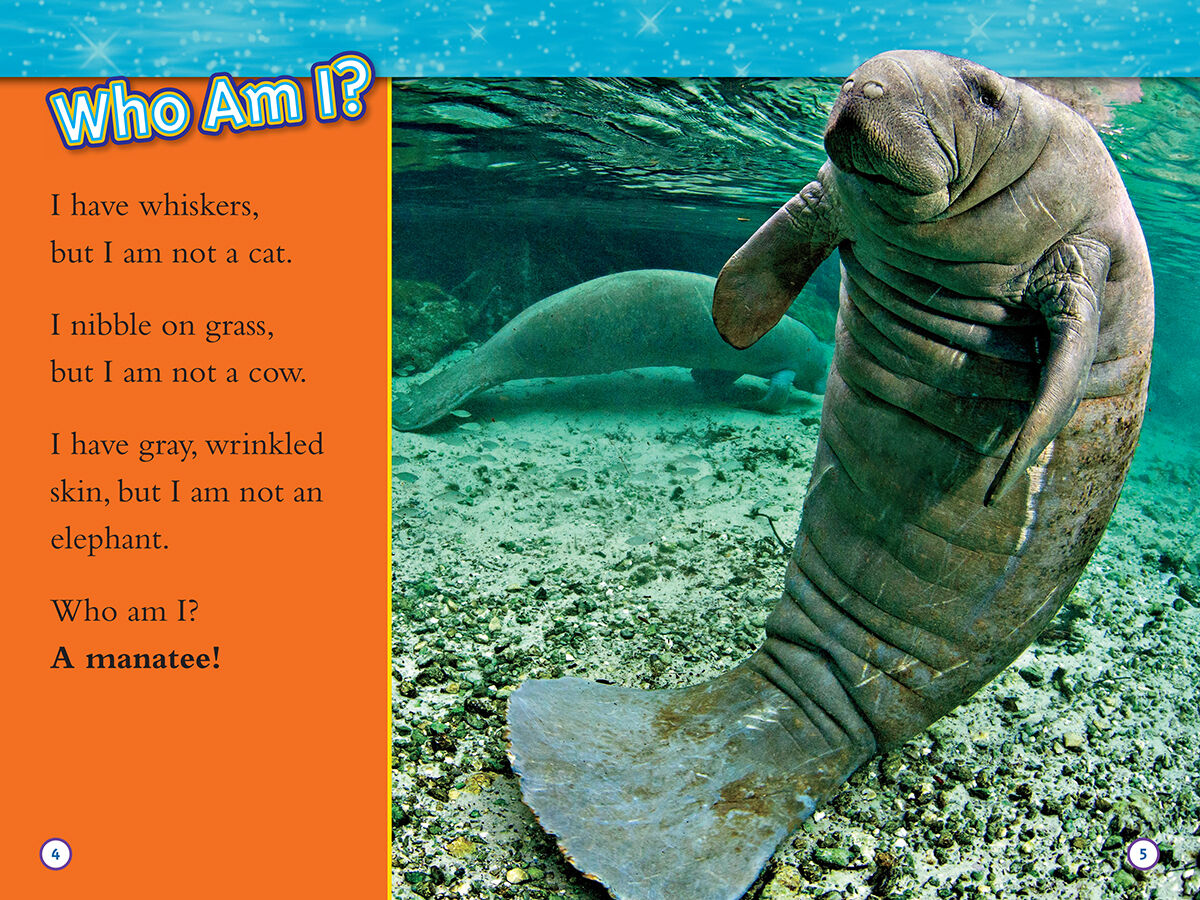 Thumbnail 3National Geographic Kids: Sea Life Reader 4-Pack