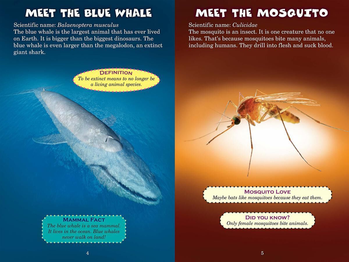 Thumbnail 2 Who Would Win? Blue Whale vs. Mosquito 