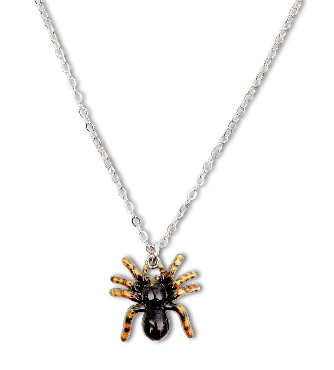 Thumbnail 2Tarantulas!