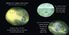 Thumbnail 4 Our Planet! There's No Place Like Earth