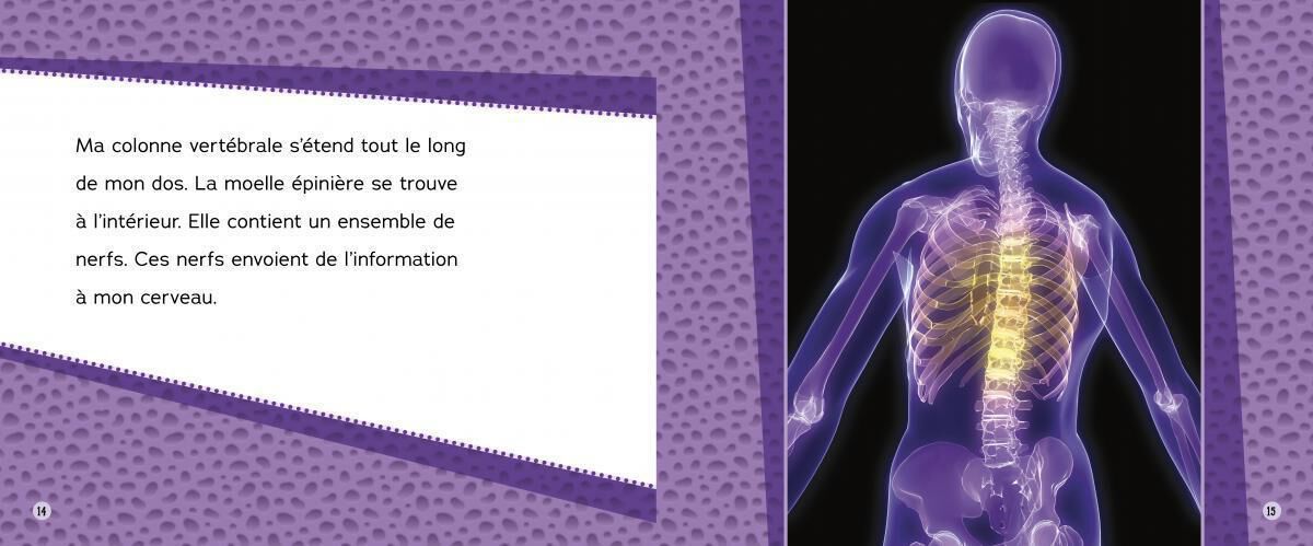 Thumbnail 7 Ensemble Le corps humain 