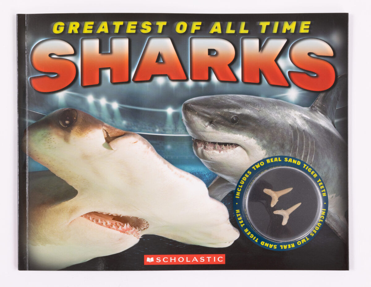  Greatest of All Time Sharks 