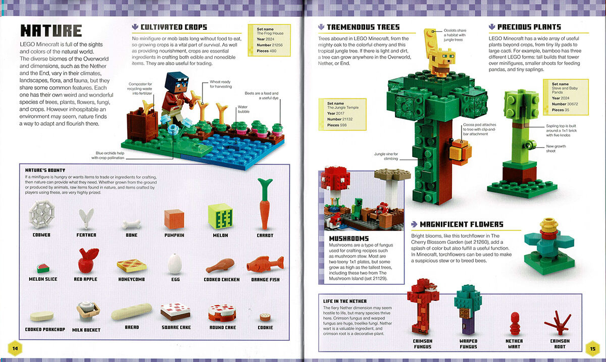Thumbnail 5LEGO Minecraft: Visual Dictionary