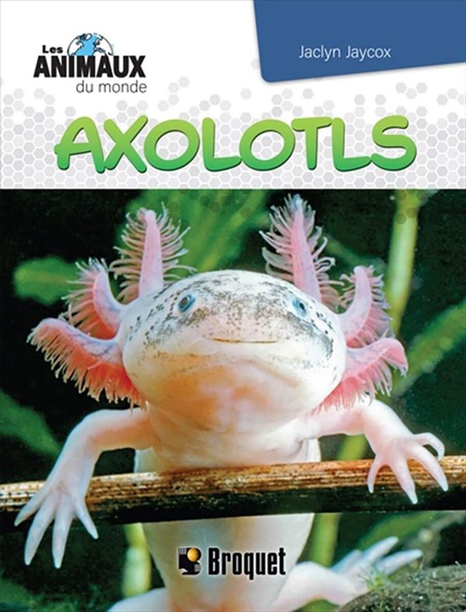  Les animaux du monde : Axolotls 