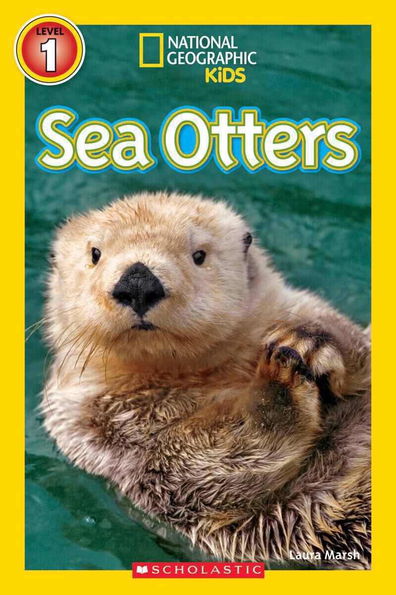Thumbnail 2National Geographic Kids: Fact Attack 12-Pack