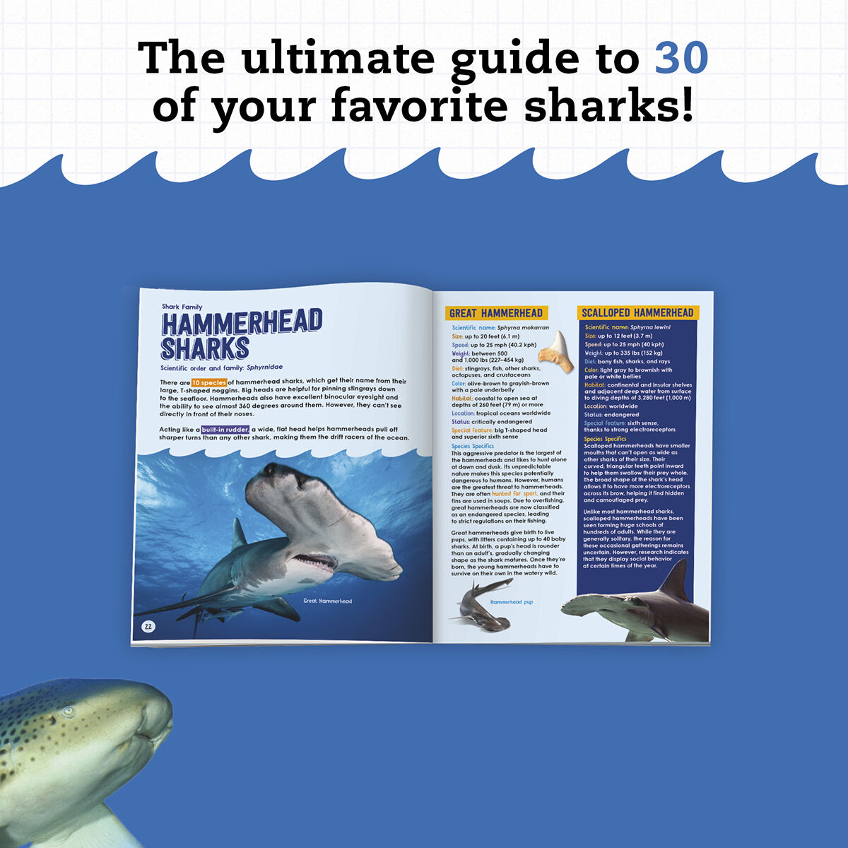 Thumbnail 3 Klutz: Shark-tastic Teeth! 