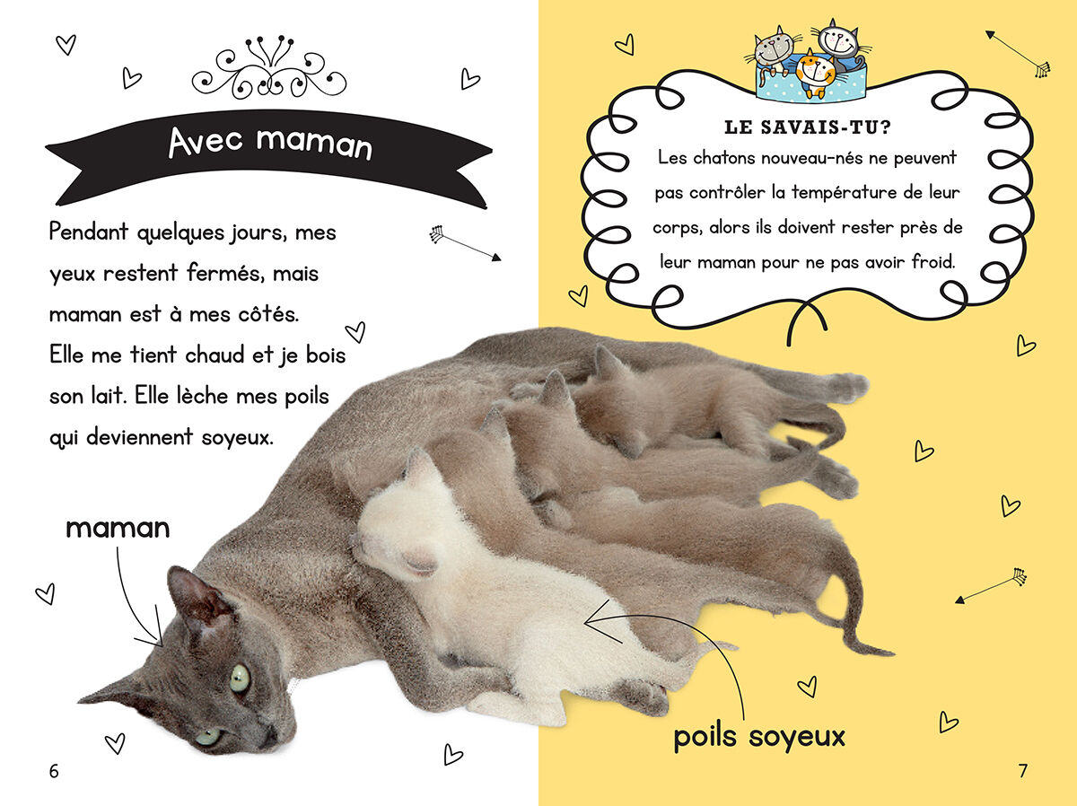 Thumbnail 3Ma collection d'animaux : Petits chatons