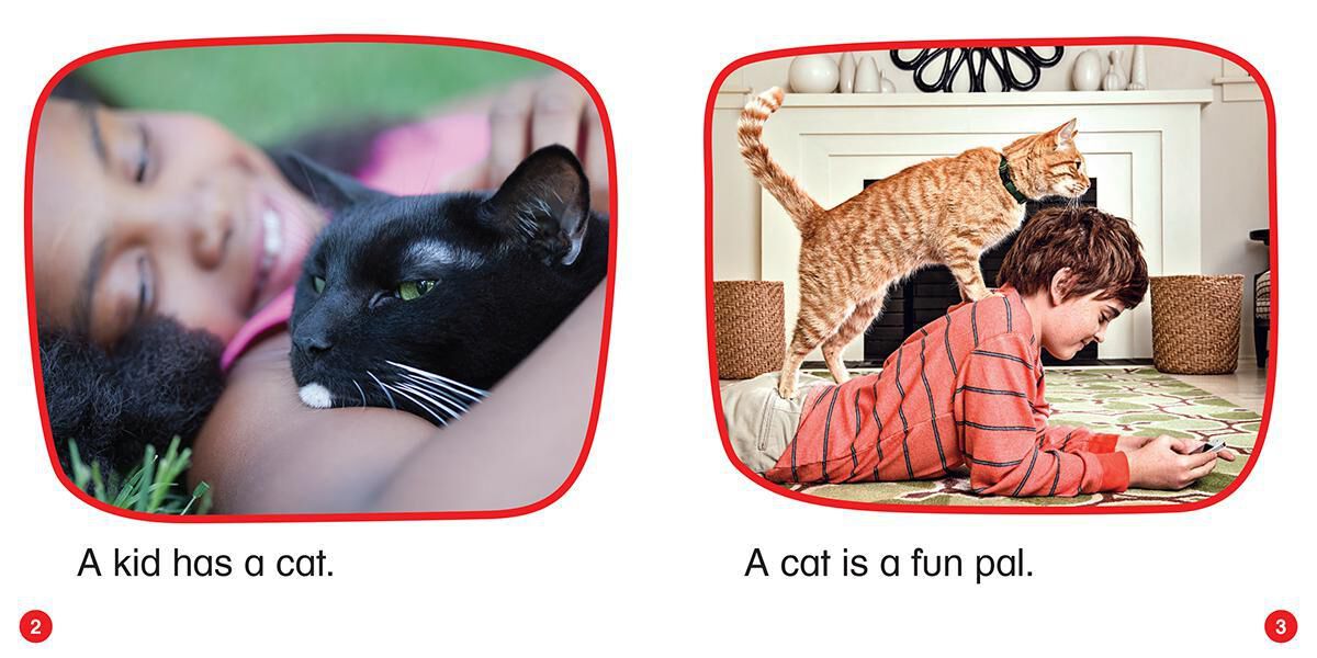 Thumbnail 9 Nonfiction Phonics Readers SET 1: Short Vowels, Blends &amp; More 