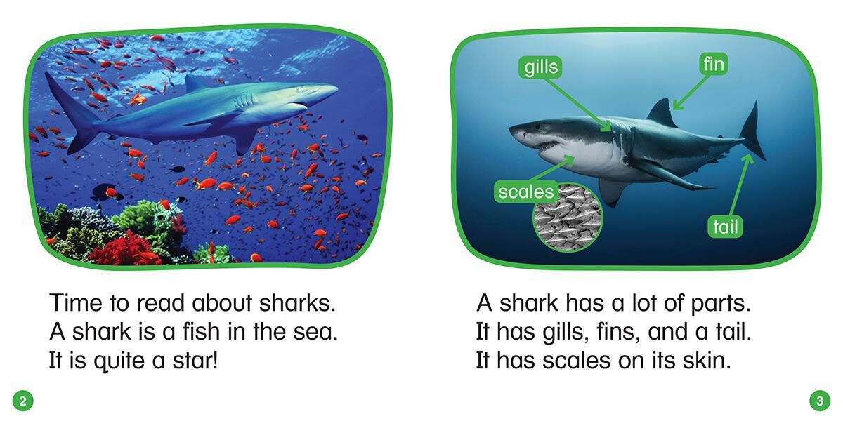 Thumbnail 9Nonfiction Phonics Readers Set 3: R-Control, Variant Vowels & More