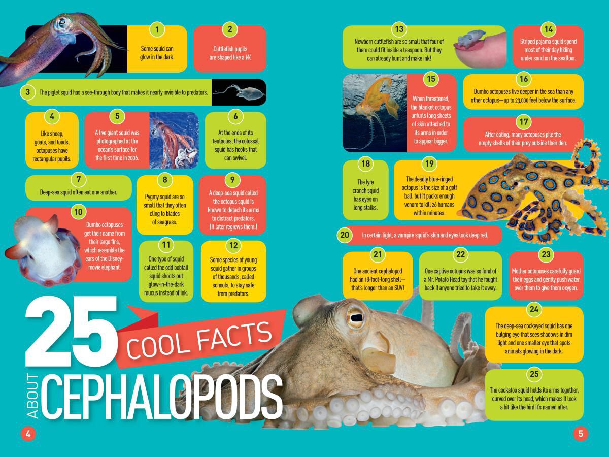 Thumbnail 7National Geographic Kids: Sea Life Reader 4-Pack