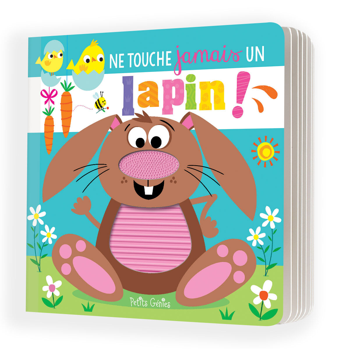 Ne touche jamais un lapin!