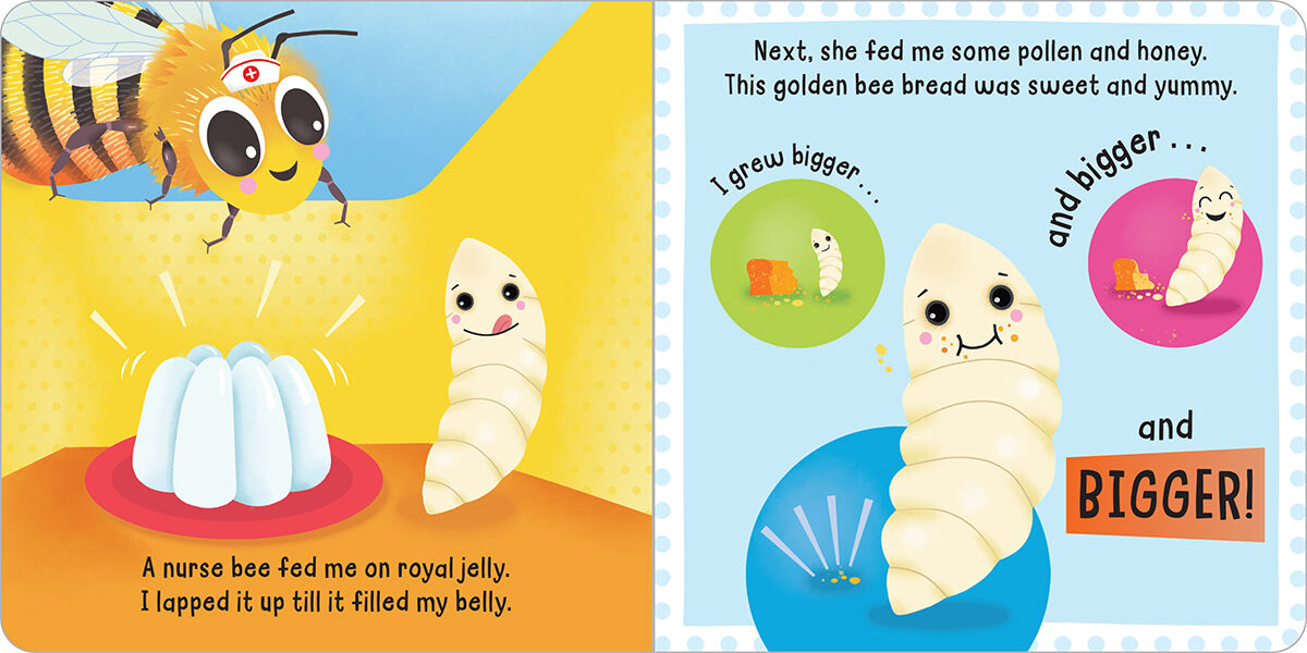 Thumbnail 4 Honeybee 