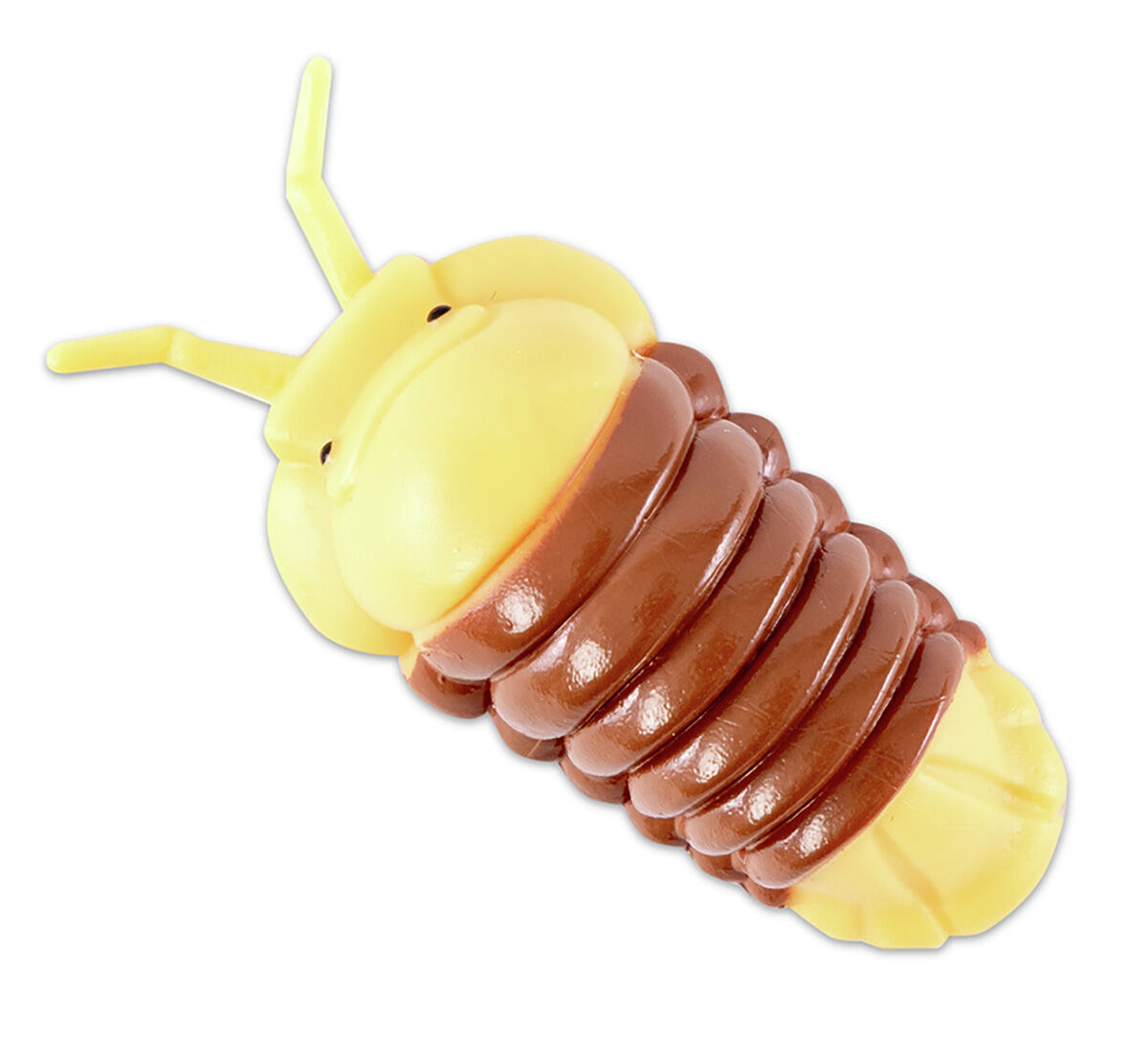 Thumbnail 2 So Weird!: Amazing Animals 