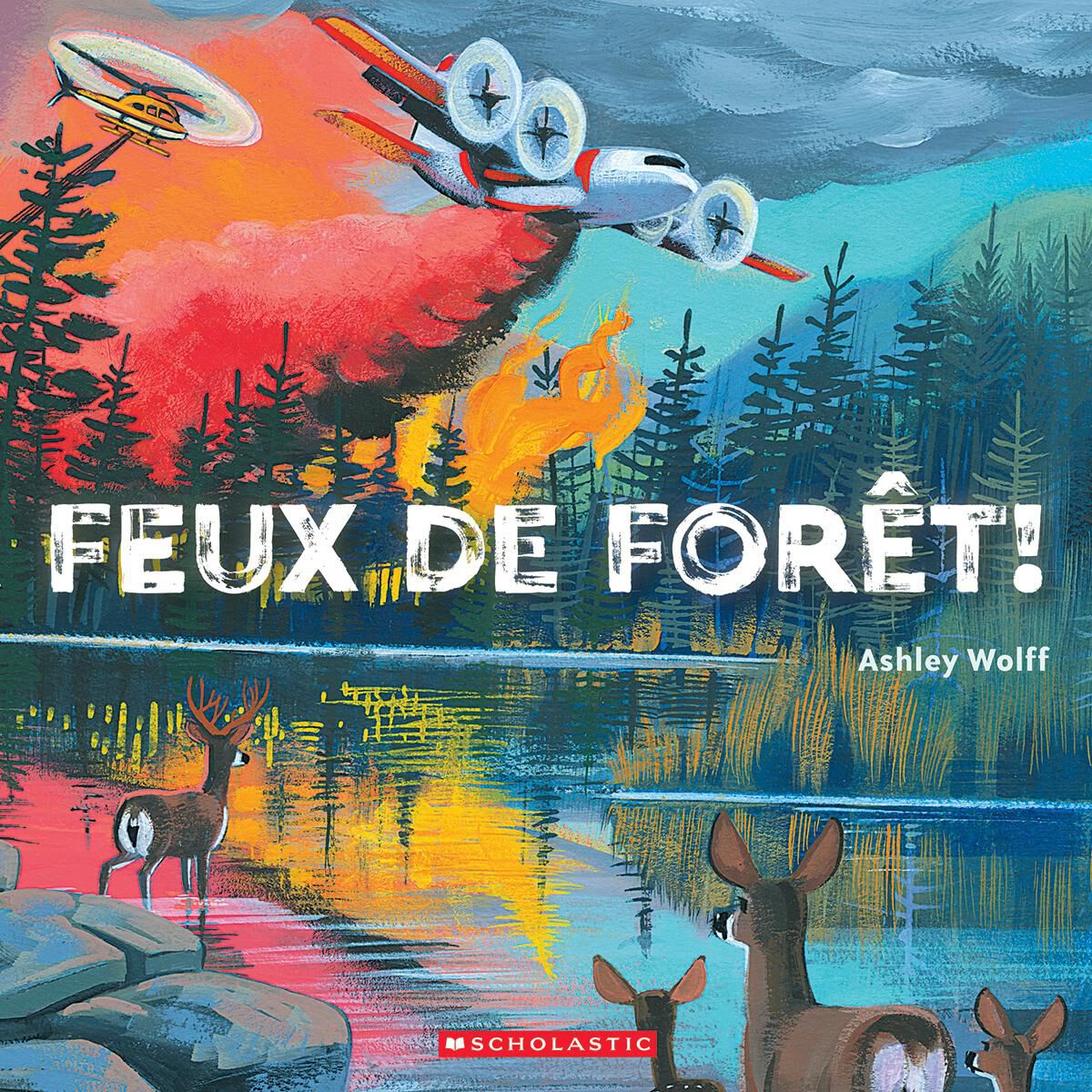  Feux de for&ecirc;t! 