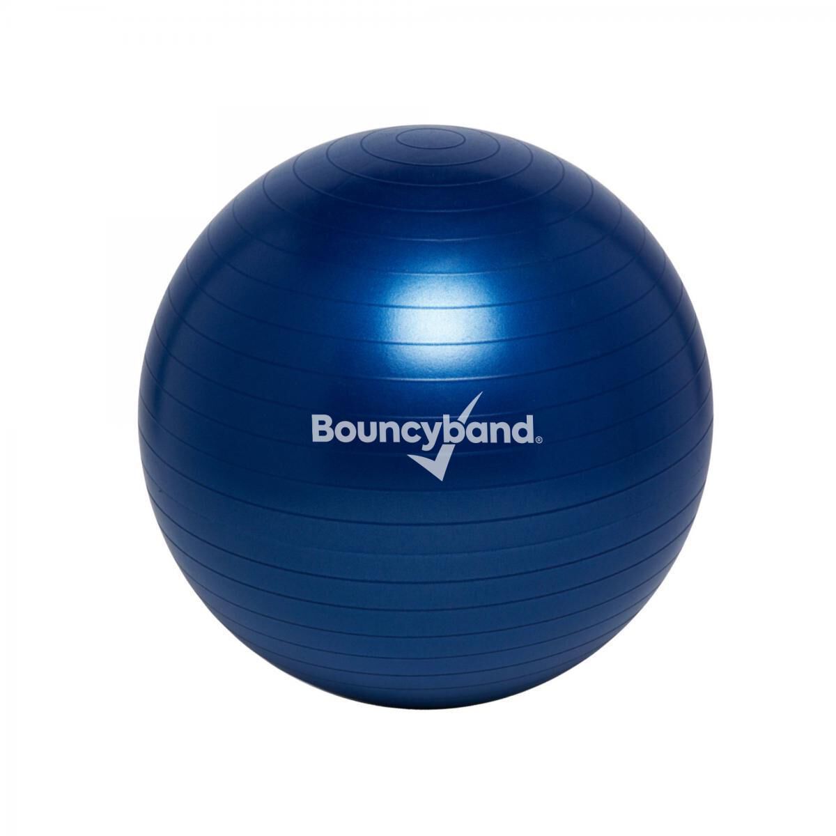 Weighted Balance Ball Blue 55cm Scholastic Canada Book Clubs