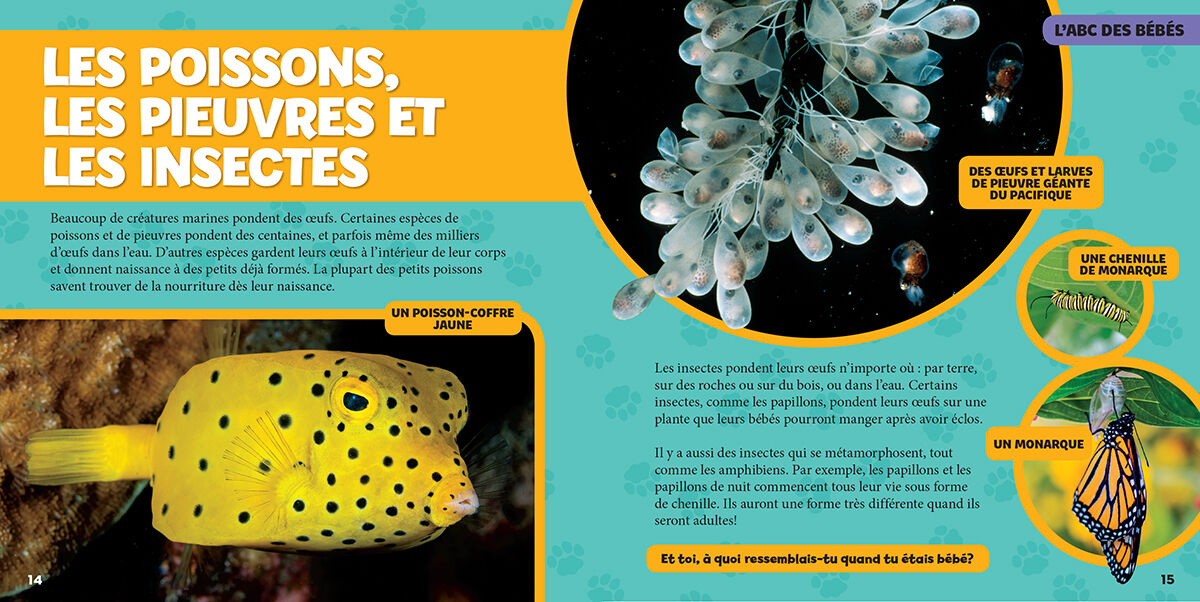 Thumbnail 4 National Geographic Kids: Mon grand livre de b&eacute;b&eacute;s animaux 